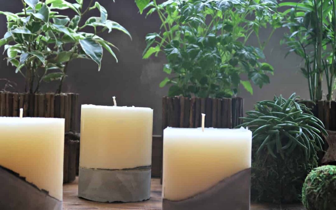 pillar candles soy pillar candle soy wax soy pillar candle wax soy pillar candles uk buy soy pillar candles
